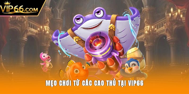 Mẹo chơi từ các cao thủ tại Vip66